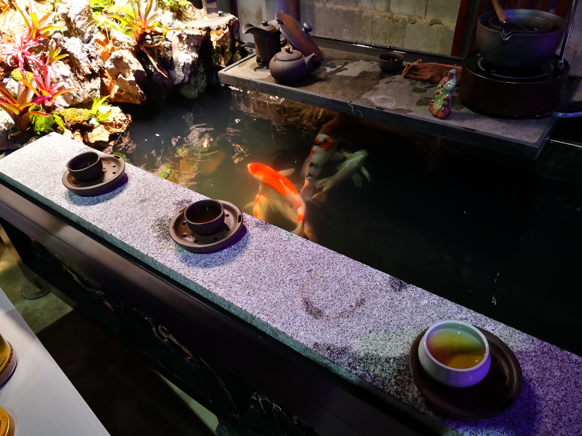 錦鯉魚(yú)池茶葉，獨(dú)特品味與養(yǎng)殖樂(lè)趣的完美結(jié)合